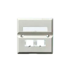 R&M R199514 CAT6 2-Port Faceplate